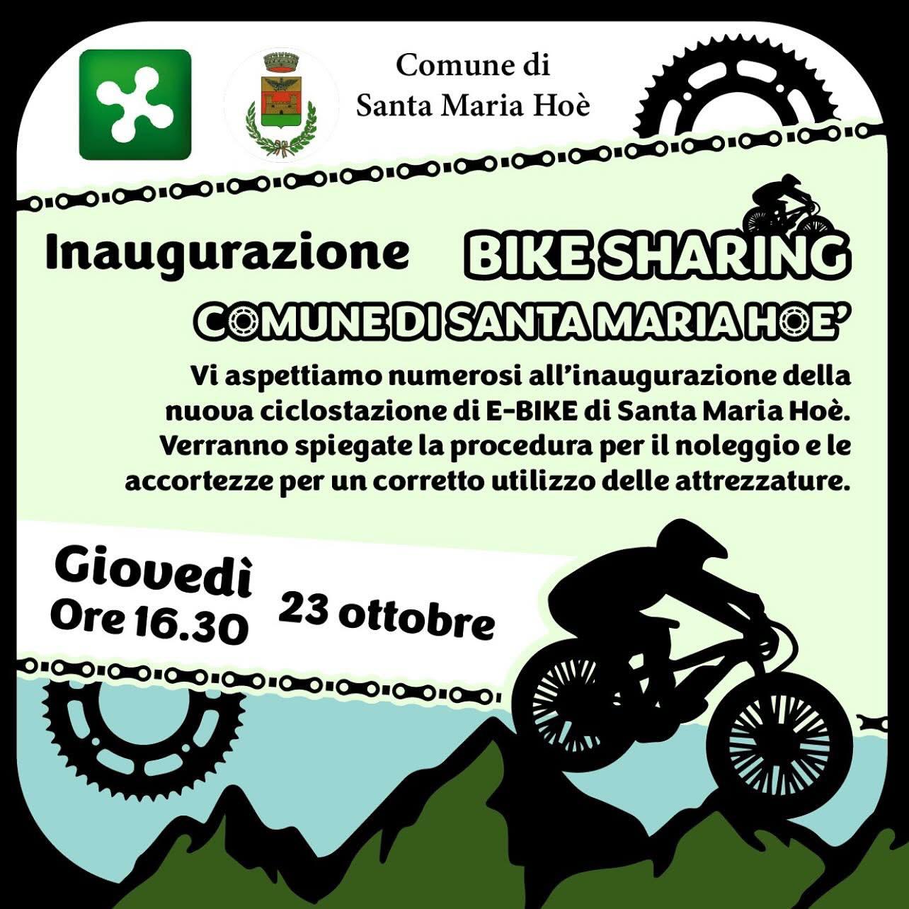 Immagine anteprima
